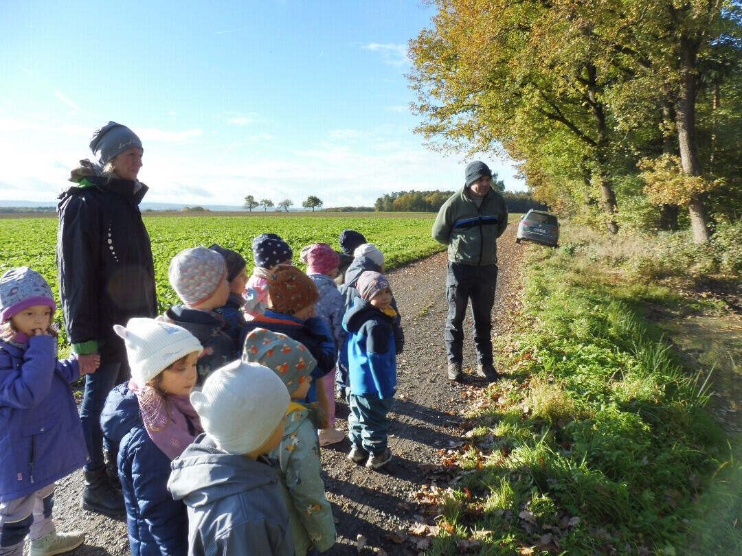Wo der Springfrosch sich zu Hause fühlt