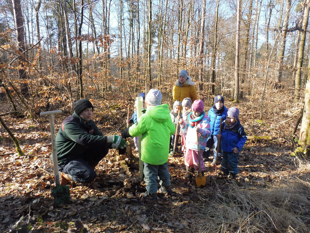 Der Speierling und ein Osterhase im Röttbacher Wald